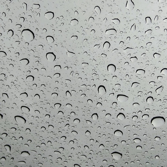 Meet your Posher, Toowee55 - Picture 3 of 3